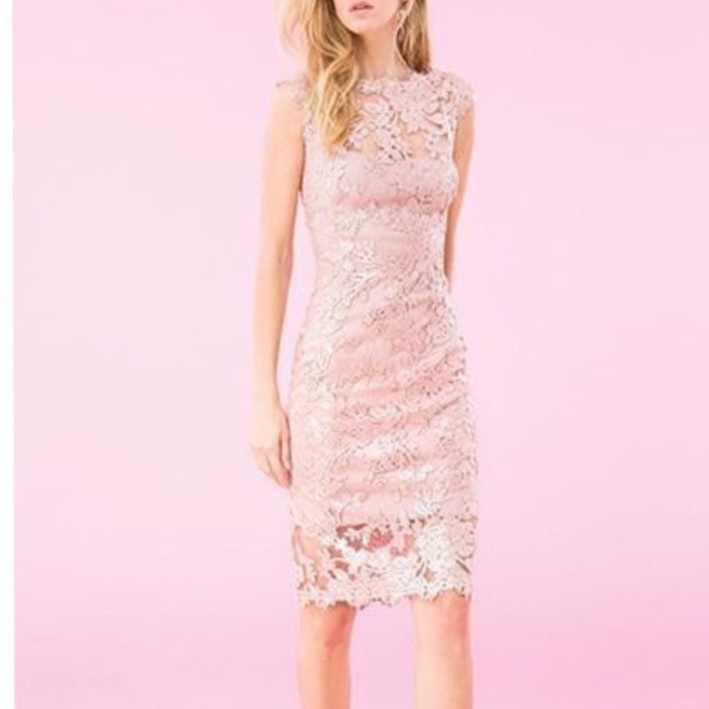 Tadashi Shoji- size 2 - sequin illusion pink dress